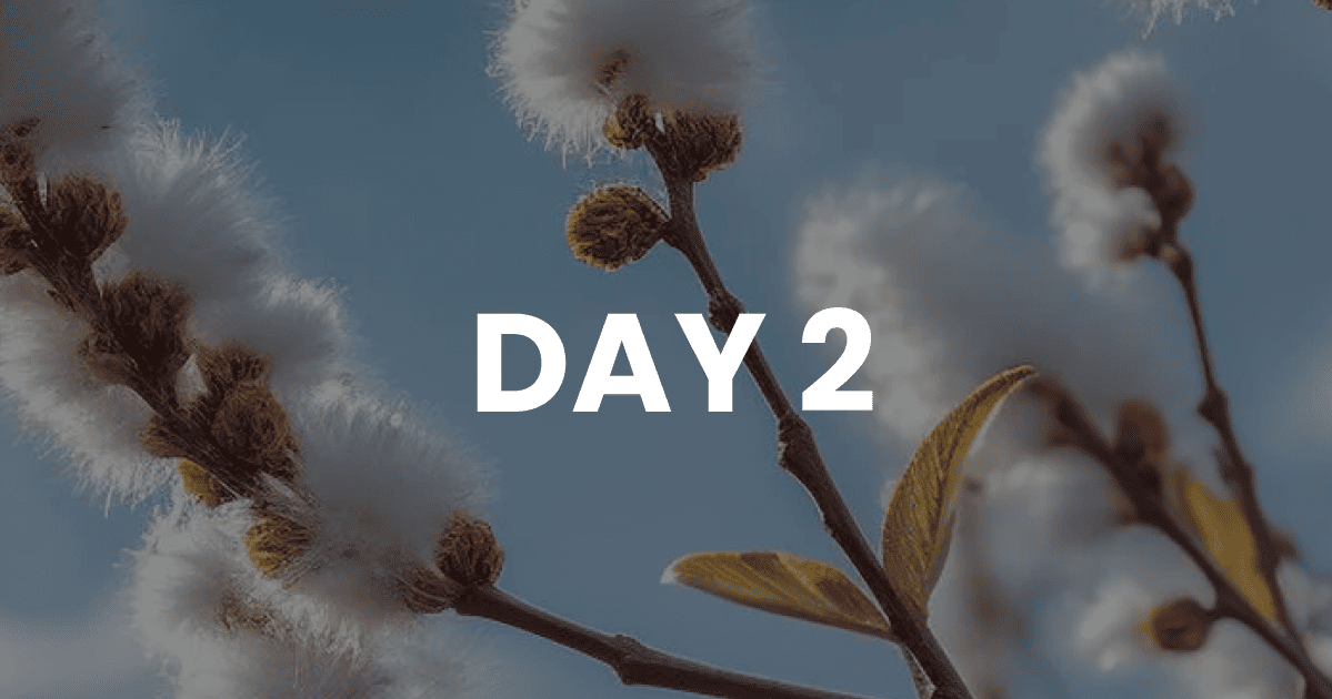 You’re Not a Victim — You’re a Victor(Count it all Joy)