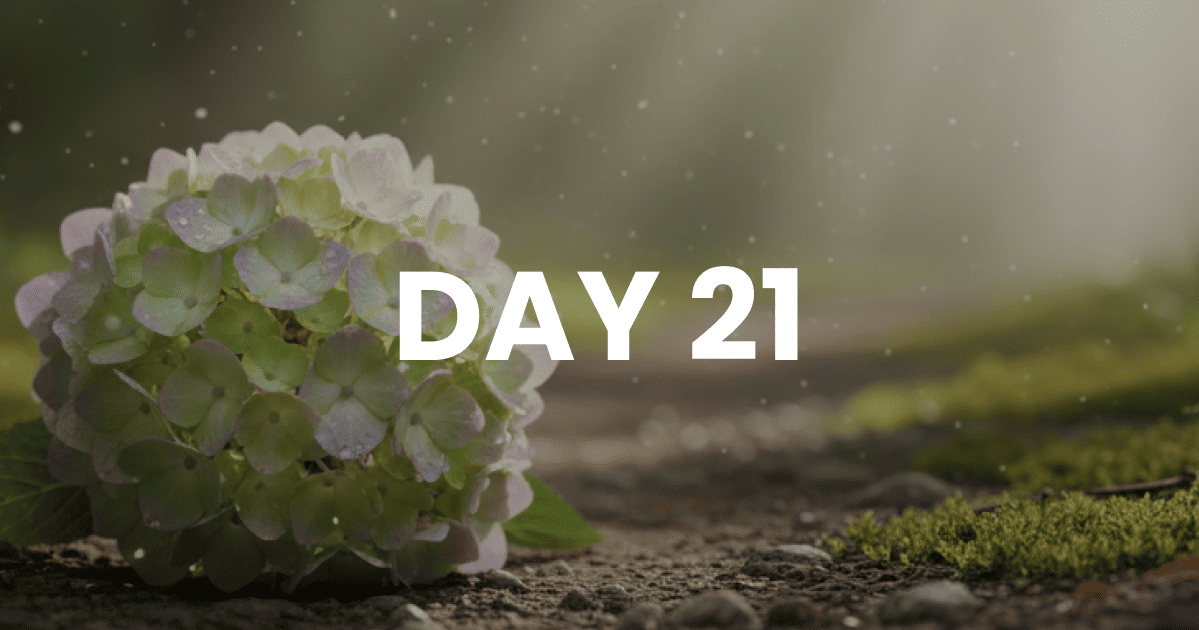 Meditation during trigger