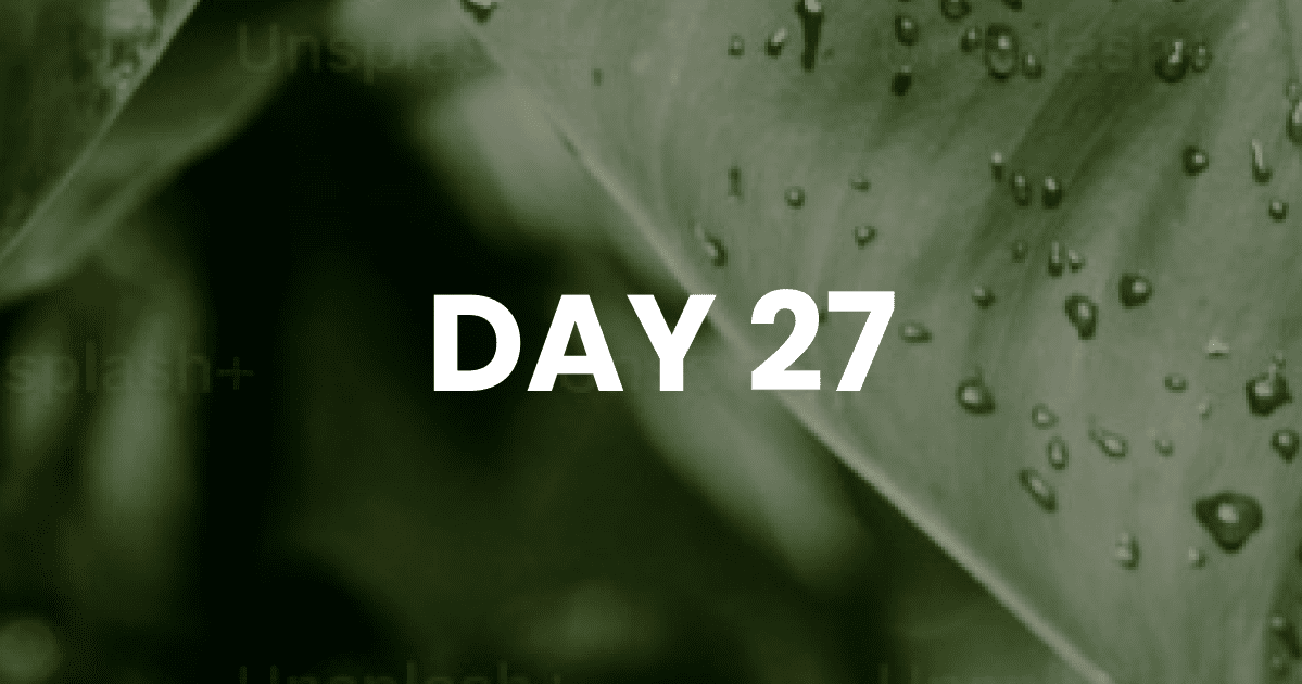 STOP Binging After a Relapse! How To Break The Cycle