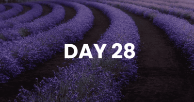 Freedom Begins in the Morning