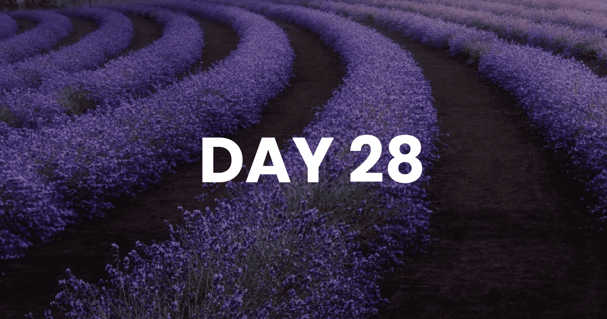 Freedom Begins in the Morning